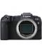 Безогледален фотоапарат Canon - EOS RP, 26.2MPx, черен + Обектив Canon - RF 85mm f/2 Macro IS STM - 2t